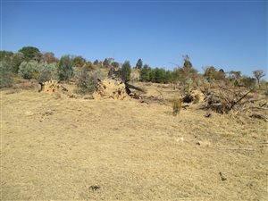 1342 m² Land available in Roodeplaat