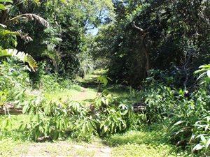 1244 m² Land available in Leisure Bay