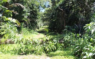 1244 m² Land available in Leisure Bay