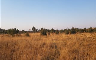 1070 m² Land available in Kameeldrift East