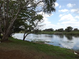 343 ha Farm in Komatipoort