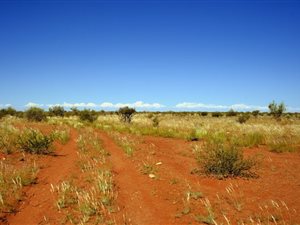 10538 ha Farm in Upington