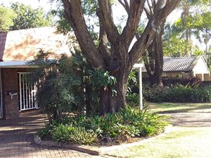 3 Bed House in Florauna
