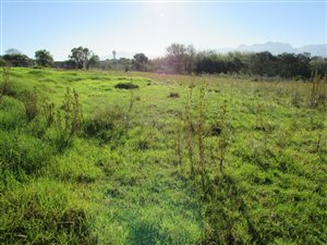 1935 m² Land available in Pacaltsdorp