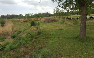 Farm in Rietfontein