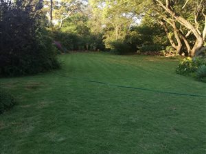 1 ha Farm in Monavoni