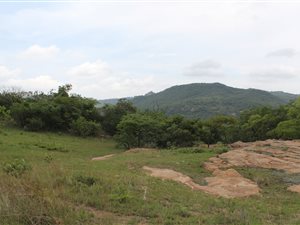 5.4 ha Land available in White River AH