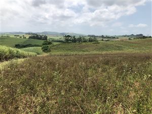 133 ha Farm in Ballito