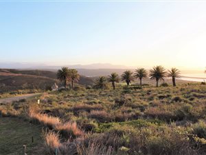 753 m² Land available in Plettenberg Bay