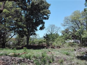 2855 m² Land available in Louis Trichardt