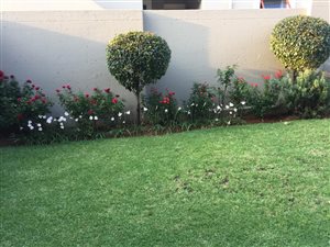 2 Bed Apartment in Bryanston East
