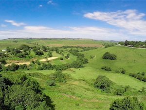 5.1 ha Farm with House in Summerveld
