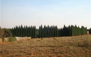 1 ha Land available in Grootfontein Estate