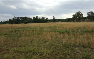 Farm in Rietfontein