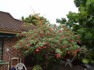 3 Bed House in Leisure Bay