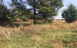 3.4 ha Land available in Tarlton