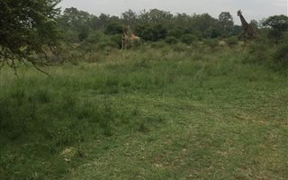 23 ha Land available in Dinokeng