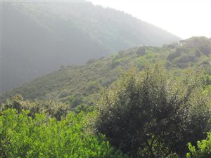 1082 m² Land available in Ballots Bay