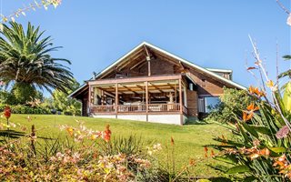 13 ha Farm in Gouna