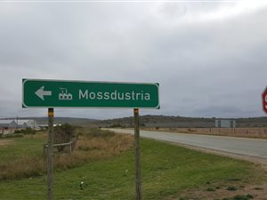 1200 m² Land available in Mossindustria