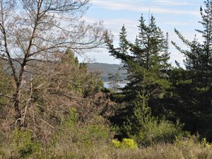 9.6 ha Farm in Knysna Central