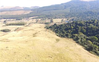 22 ha Land available in Byrne Valley