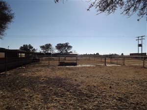 35 ha Farm in Meiringspark