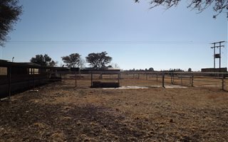35 ha Farm in Meiringspark