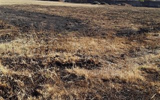 1920 m² Land available in Dannhauser