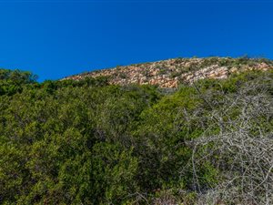 235 m² Land available in Mossel Bay Central