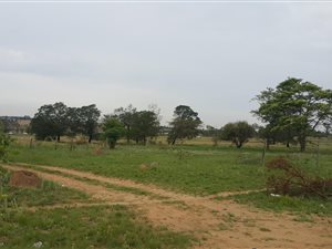 4 ha Land available in Knopjeslaagte