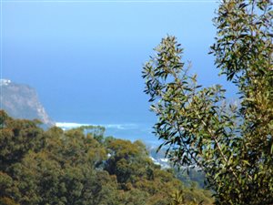 21.1 ha Land available in Knysna Rural