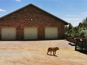 3 Bed House in Derdepoort