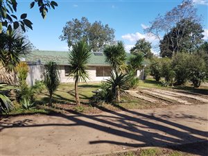 1 Bed Garden Cottage in Camperdown
