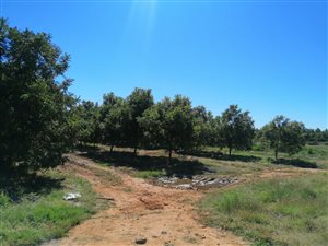 45 ha Farm in Hartswater