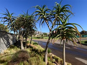 897 m² Land available in Silver Wood Estate