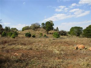 1 ha Land available in Mooikloof Equestrian Estate