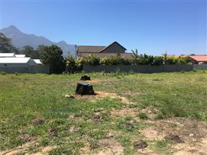 1235 m² Land available in Die Bult