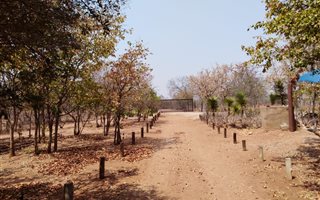 42.8 ha Farm in Musina