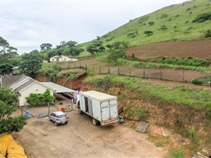 4 Bed House in Cliffdale