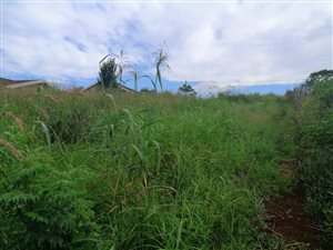 918 m² Land available in Stanger Manor