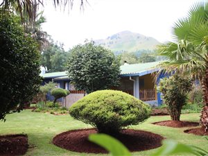 120 ha Farm in Lydenburg