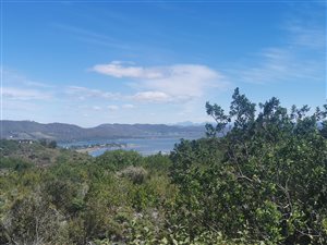 1026 m² Land available in Pezula Golf Estate