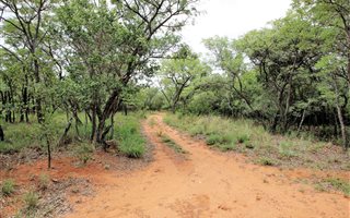 34.3 ha Farm in Bela-Bela (Warmbaths)