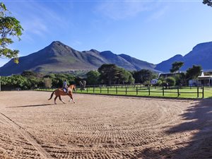 7 Bed House in Noordhoek