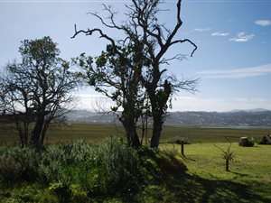 527 m² Land available in Lake Brenton