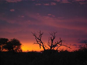 21 ha Land available in Phalaborwa