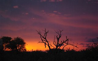21 ha Land available in Phalaborwa