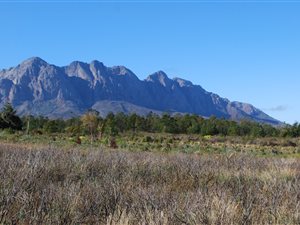 6944 m² Land available in Wolseley