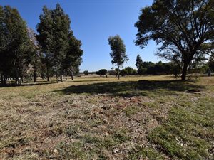 5 ha Farm in Amandasig